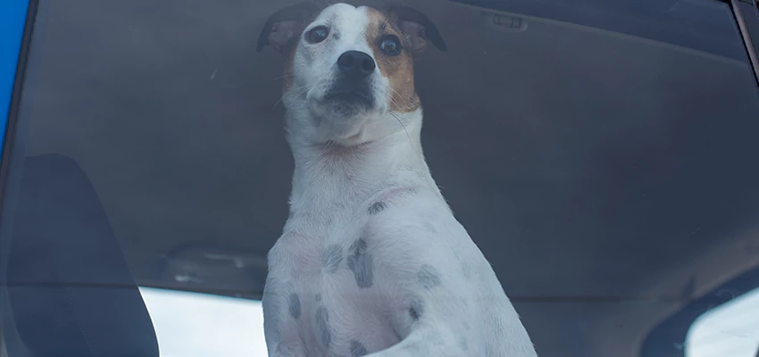 Car Lockout Solutions in Cupertino, California